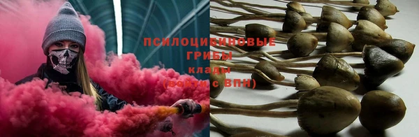 МДМА Заводоуковск