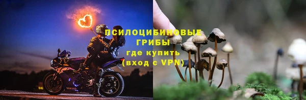 МДМА Заводоуковск