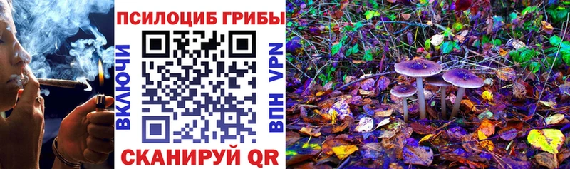 Галлюциногенные грибы Psilocybine cubensis  Купить где  Котлас 